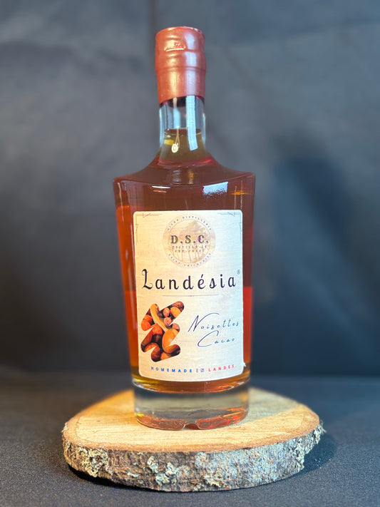 Landesia - Noisettes du Sud-Ouest Cacao