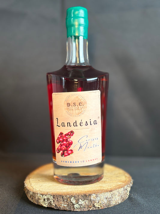 Landesia - Cerises Menthe