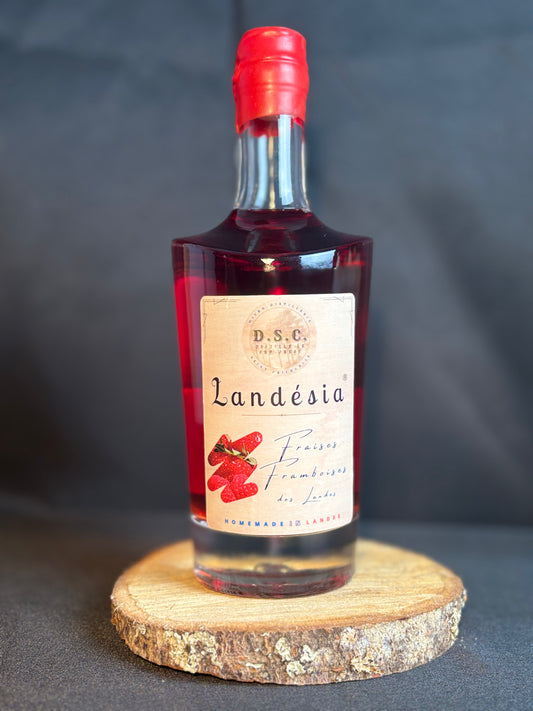 Landesia - Fraises Framboises des Landes