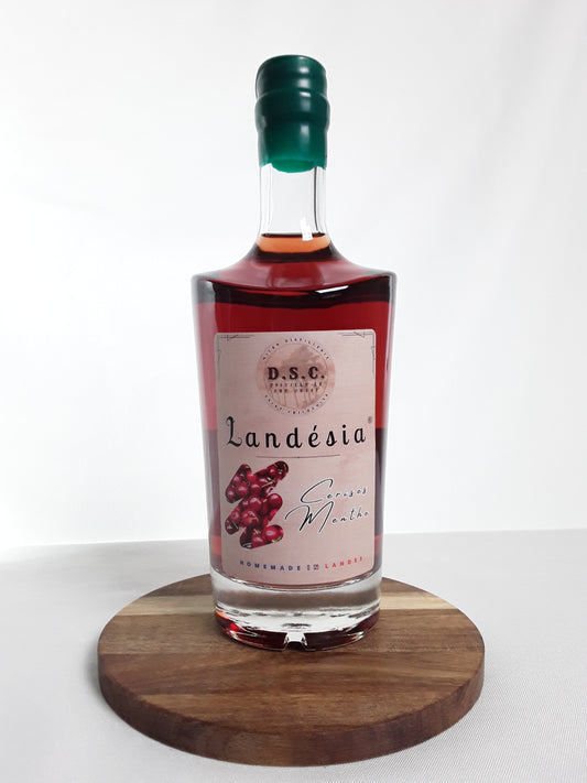 Landesia - Cerises Menthe